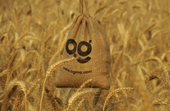 Photo Buying and Selling Online Businesses