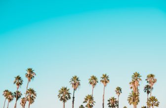 Photo Hiring with AI