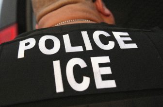 ICE Seeks Cyber Upgrade to Better Surveil and Investigate Its Employees