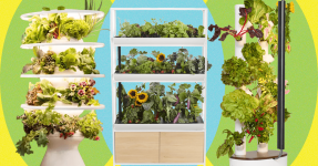 Best Indoor Garden Systems: We've Been Testing All Year (2026)