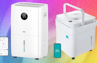 6 Best Dehumidifiers to Keep Your Home Mold-Free (2026)