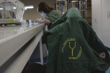 How reality crushed Ÿnsect, the French startup that had raised over $600M for insect farming