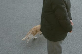 Photo Visitor Tracking