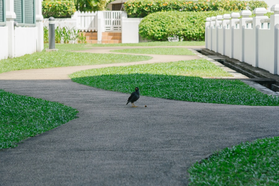 Photo Visitor Tracking