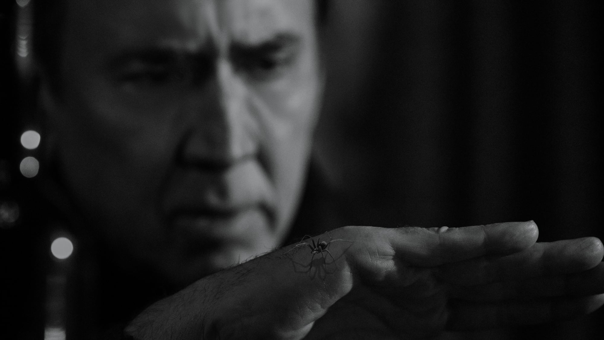 Nicolas Cage in "Spider-Noir."