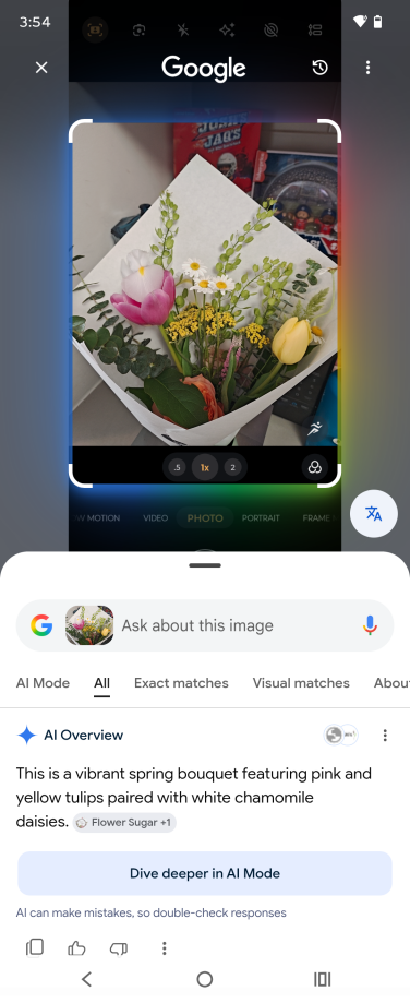 screenshot of circle to search feature on android with flowers