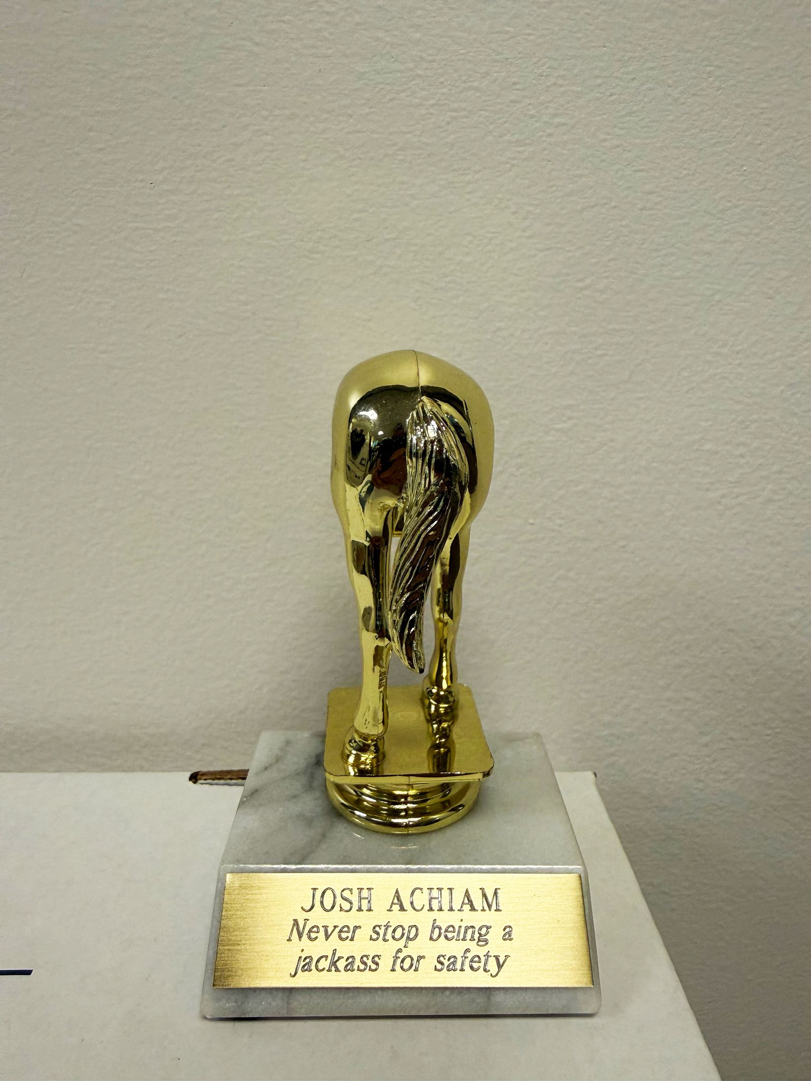 Image may contain Trophy
