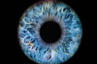 ICE to keep an eye on your eyes under $25M biometric scanner deal
