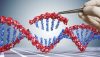 23andMe inherits lawsuit over 'disturbing' DNA data breach