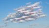 FCC warns US broadcasters their licenses are a privilege, not a right