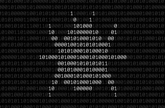 Mystery Microsoft bug leaker keeps the zero-days coming