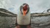 Linux kernel flaw opens root-only files to unprivileged users