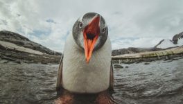Linux kernel flaw opens root-only files to unprivileged users