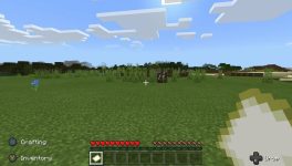 Minecraft-streaming gran swatted while raising cash for grandson's cancer care