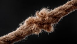AI eyes scanning for bugs create a worrisome Linux security trend
