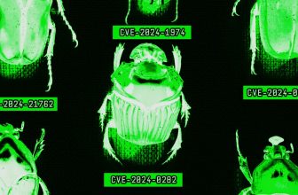 The AI Era Is Creating a Bug-Hunting Arms Race