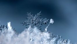 Snowflake buys Natoma to help freeze out rogue agents