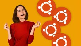 Google, Canonical team up to certify Ubuntu images for TPU VMs