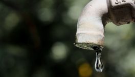 Europe told to cool its datacenter boom before water and power run short