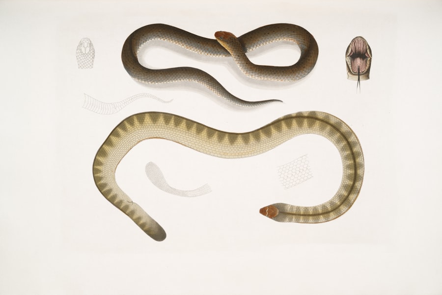 herpetology