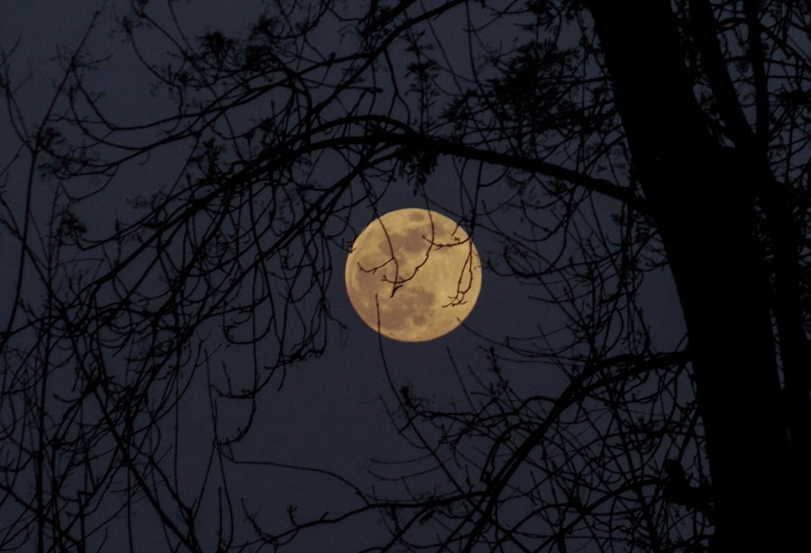 Photo moon
