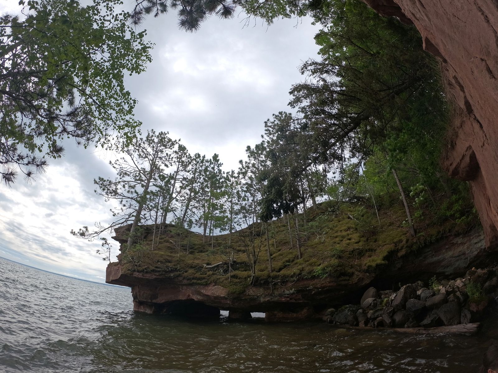 Image may contain Rock Plant Vegetation Land Nature Outdoors Scenery Wilderness Tree Woodland and Cliff