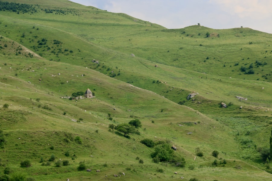 ilgiz tantashev