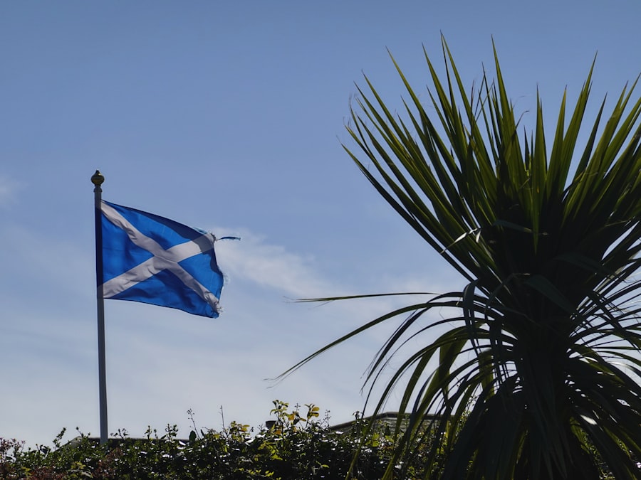 Photo Scotland national football team manager