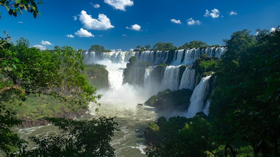 Photo argentina national football team
