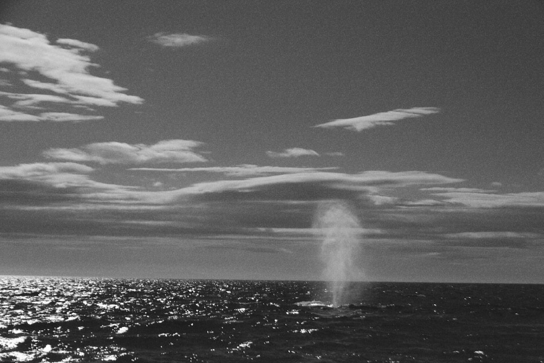 Photo torpedo strike