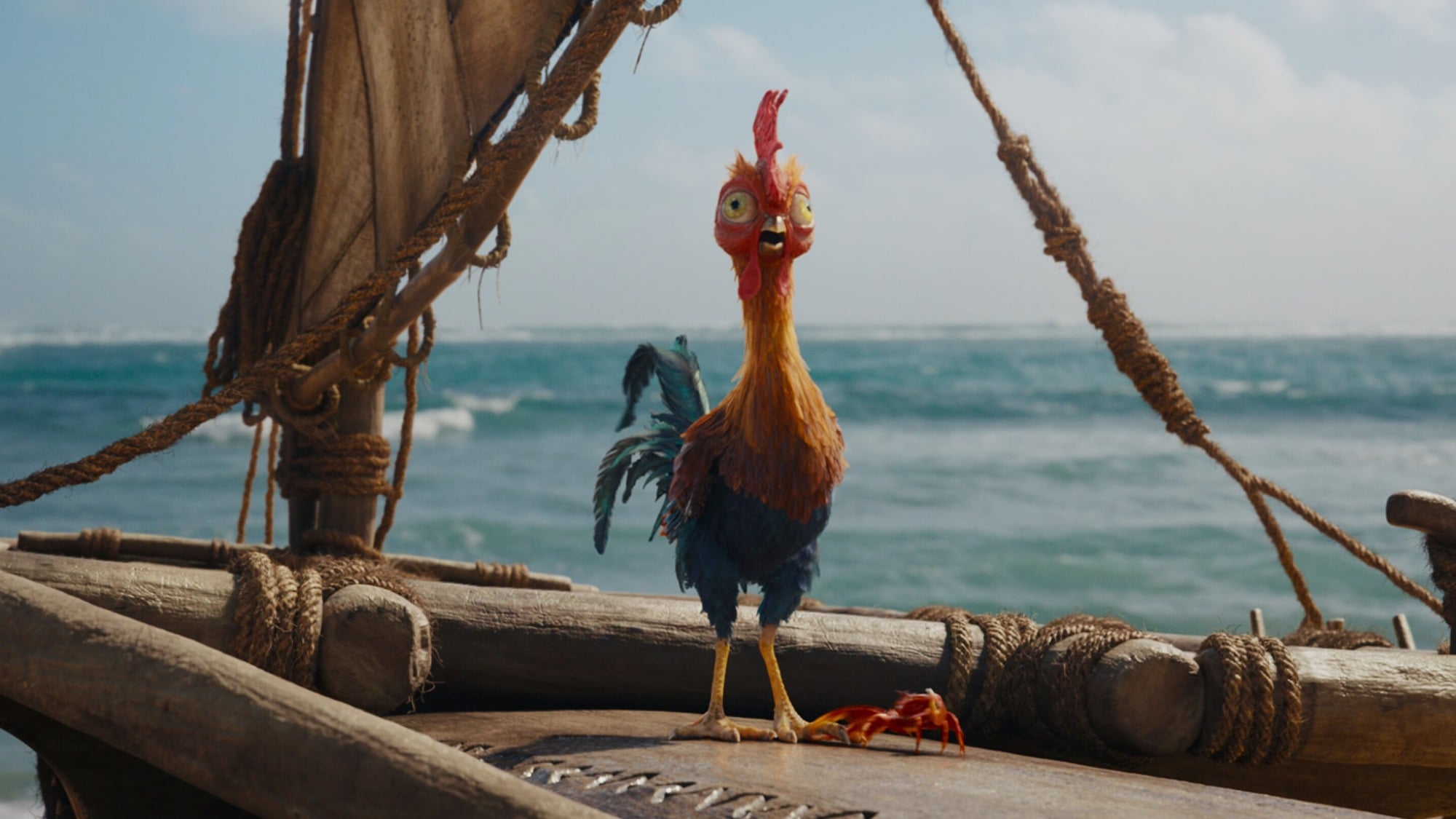 Rooster Heihei in Disney's live-action "Moana."