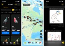 ‘Slow-cial’ app Roost forces you to slow down to the speed of a carrier pigeon