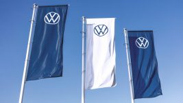 Volkswagen is employing 100 sheep at a solar farm in Poland
