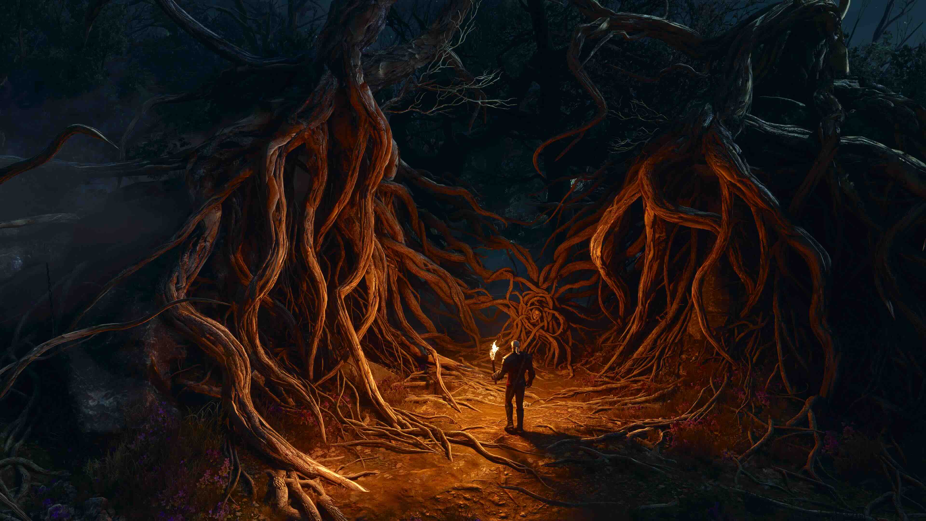 Witcher 3 &amp;ndash; Songs of the Past