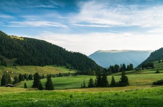 Photo Cloud Storage Lifetime Subscription