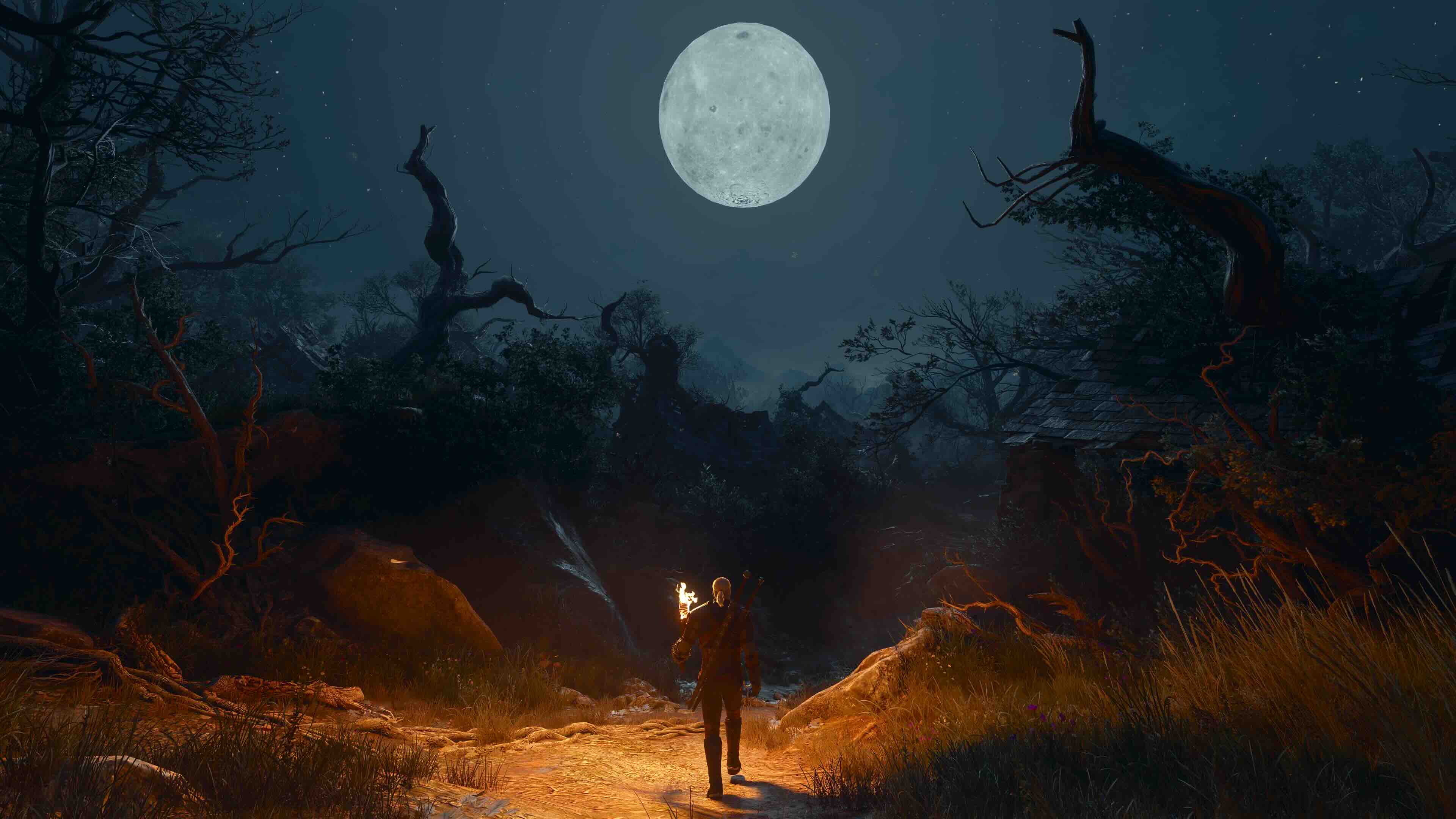 Witcher 3 &amp;ndash; Songs of the Past