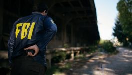 US government snitch-finder pleads guilty to leaking state secrets to foreign spies
