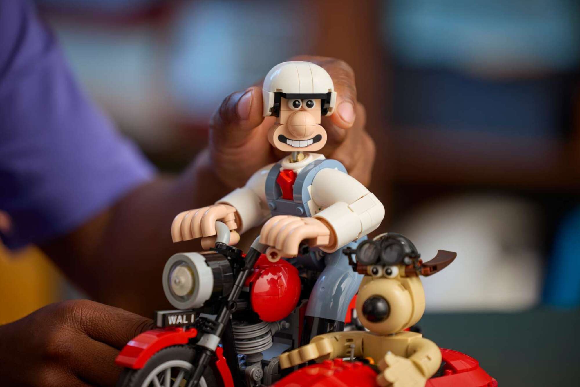 man building the lego wallace & gromit set