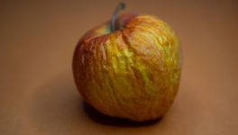 Apple buried Copland 30 years ago. Now the failed OS boots in a browser
