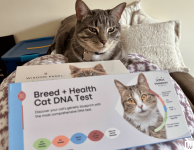 What’s the Best Pet DNA Test? We Tested the Most Popular Ones