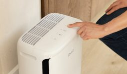 Levoit’s new air purifier is for the pet odors that have taken over your apartment