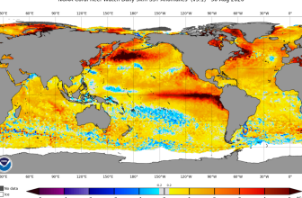 El Niño is now stronger than at any point in the last 1,000 years, study finds