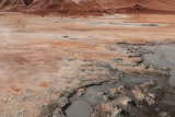 Unlock Your Curiosity with Lifetime Access to Curiosity Stream