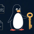 One Click, Total Shutdown: The "Patient Zero" Webinar on Killing Stealth Breaches