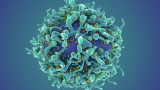 A revolutionary cancer treatment could transform autoimmune disease
