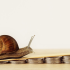 Four OpenClaw Flaws Enable Data Theft, Privilege Escalation, and Persistence