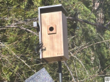 The Smart Bird Feeders Everyone’s Talking About (and Actually Buying) (2026)