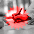 Firefox 151 helps you edit PDFs – and switch OSes