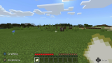 Minecraft-streaming gran swatted while raising cash for grandson's cancer care