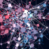Why most AI projects fail: It’s infrastructure and people 
